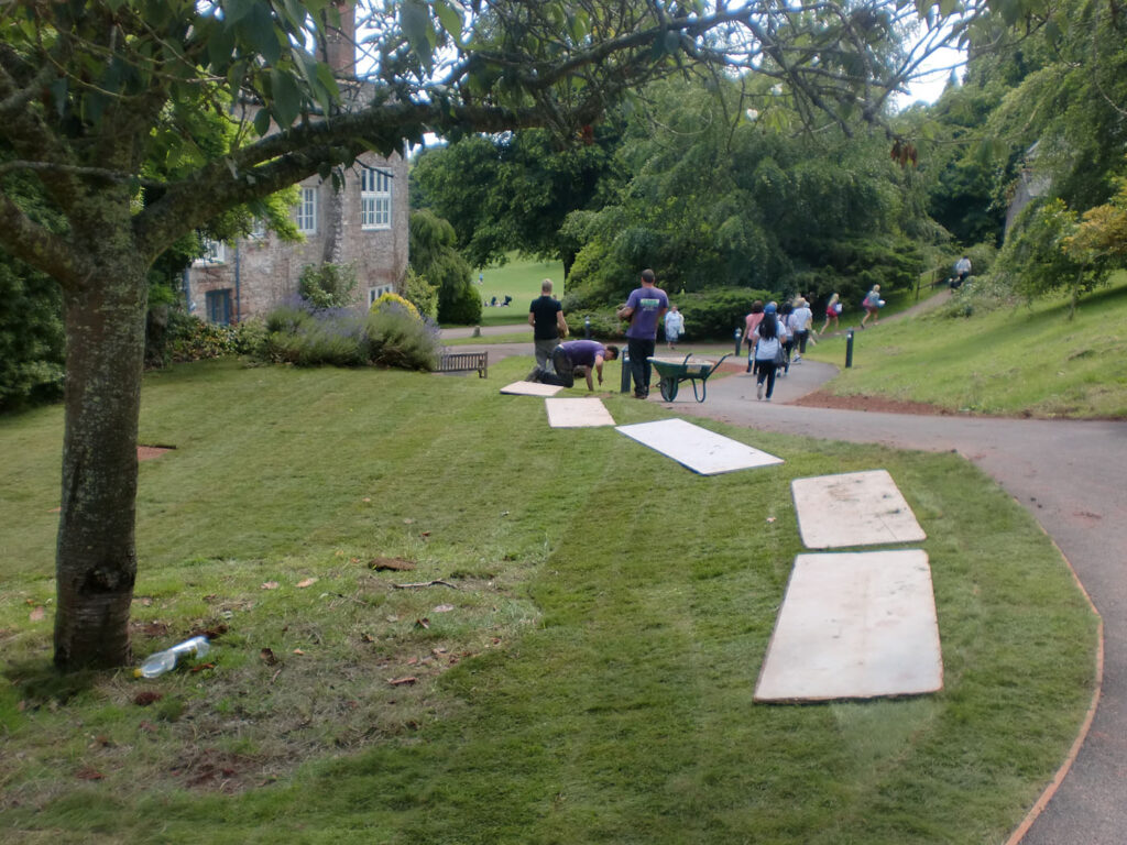 Turfing and landscaping development